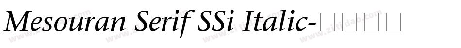 Mesouran Serif SSi Italic字体转换